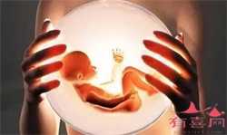 代孕费用代孕-南京代孕包性别_泰国辅助生殖行业报告：为了做试管婴儿，这些